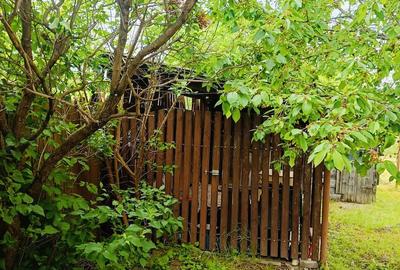Casă cu 4 camere cu Teren 684 Mp în Săsciori - 3