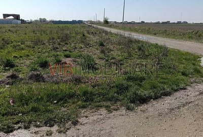 Teren intravilan de 600 mp, în Săcălaz - 2