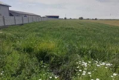 Teren de 3051 mp, în Tomșani - 3