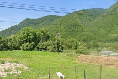 Teren de 40 mp, în Poiana Ilvei - 4