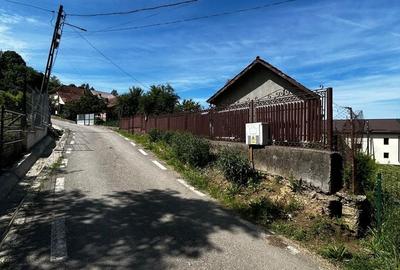 Casă cu 4 camere cu Teren 1624 Mp în Voinești - 6