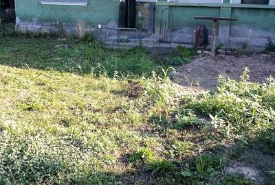 Casă cu Teren 300033 Mp în Central