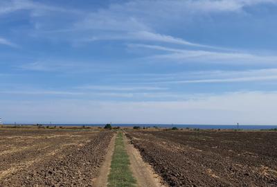 Teren agricol extravilan de 818 mp, în 23 August - 4