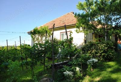 Casă cu 5 camere cu Teren 2900 Mp în Central - 2