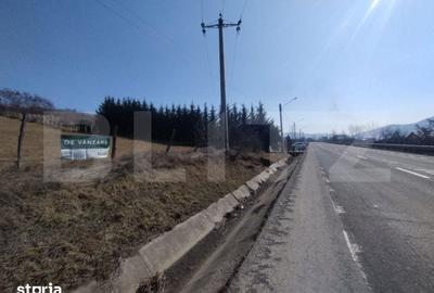 Teren de 5000 mp, în Șieu - 1