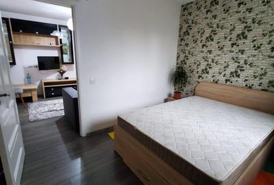 Apartament cu 2 camere semidecomandat, mobilat în Podu Roș - 4