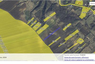 Teren agricol extravilan de 41850 mp, în Cavadinești - 4