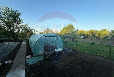 Duplex cu 5 camere cu Teren 1634 Mp în Viile Noi - 25