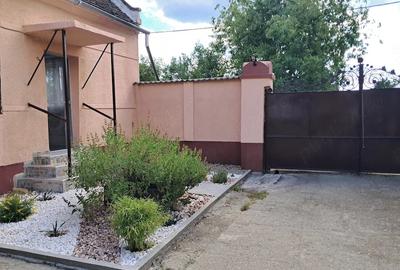 Casă cu Teren 2049 Mp în Bazoș - 17