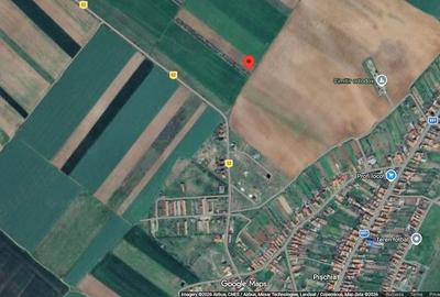 Teren de 33800 mp, în Pișchia - 1