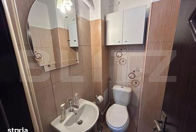 Apartament cu 3 camere decomandat în Brazda lui Novac - 12