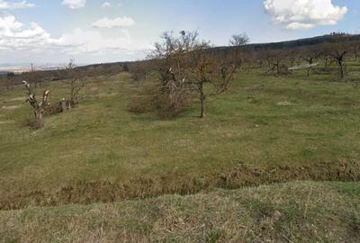 Spațiu comercial, în Feleacu - 2