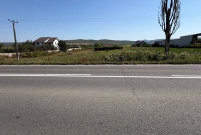 Teren de 1000 mp, în Buhoci