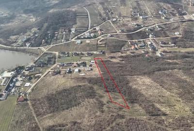 Teren intravilan de 7900 mp, în Săldăbagiu de Munte