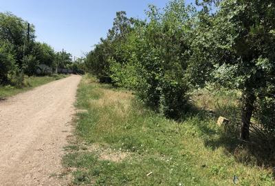 Teren investiție, de 9,795 mp, în Rădoiești - 3