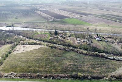 Teren agricol intravilan de 22500 mp, în Balinț - 3