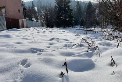 Teren de 1400 mp, în Izvoru Mureșului - 6