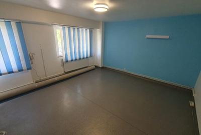 Apartament cu 2 camere decomandat în Sârbi