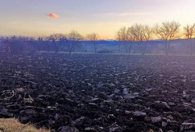 Teren de 4000 mp, în Negrești - 4