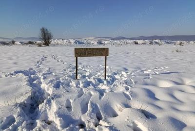 Teren de 4000 mp, în Florești - 3