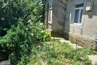 Casă cu 2 camere cu Teren 1000 Mp în Alexandru Odobescu - 3