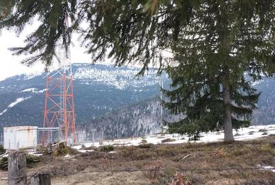 Teren de 5000 mp, în Vârtop - 1