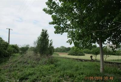 Teren de 5900 mp, în Chișoda - 1