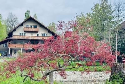 Casă individuală cu 9 camere cu Canalizare în Bran - 3