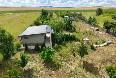 Teren Construcții intravilan de 2230 mp, în Cataloi