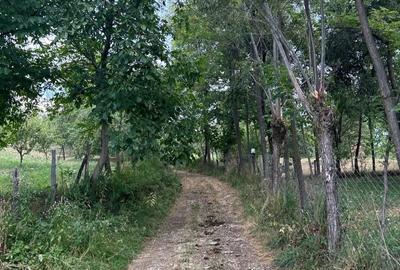 Teren de 5000 mp, în Corbi