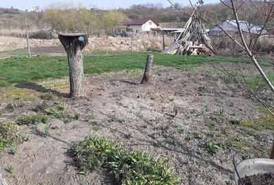 Casă cu Teren 1592 Mp în Schitu - 8