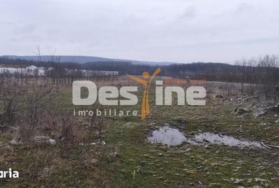 Teren de 7500 mp, în Scorțeni