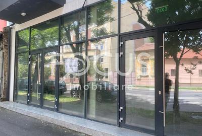 Spațiu comercial, de 110 mp, în Șagului - 3