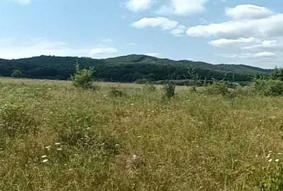 Teren de 1200 mp, în Humulești - 1