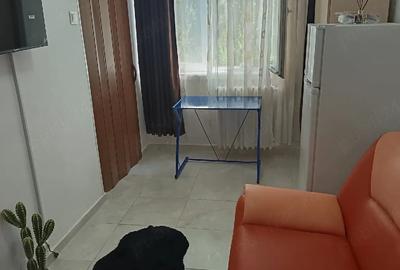 Garsonieră semidecomandată în Exterior Vest - 4