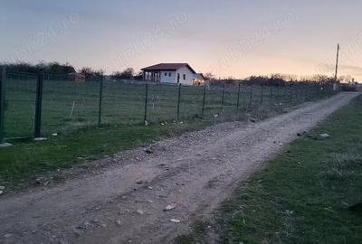 Teren de 7500 mp, în Voila - 4