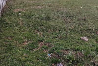 Teren de 3000 mp, în Schela - 1