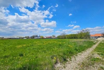 Teren de 850 mp, în Stupini - 1
