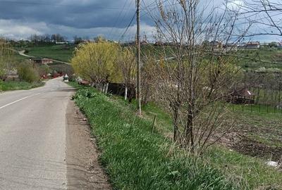Teren de 3150 mp, în Răchiți - 1