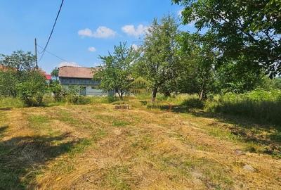 Teren de 1285 mp, în Pârvulești