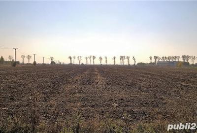 Teren de 6159 mp, în Bolintin-Deal