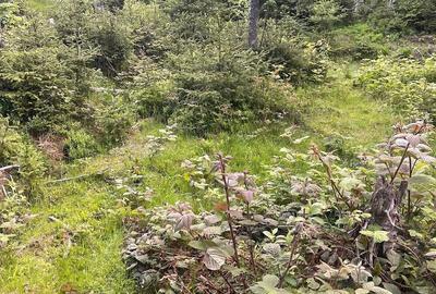 Teren de 250 mp, în Central - 1