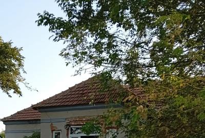 Casă individuală cu 5 camere cu Canalizare în Siliștea Crucii