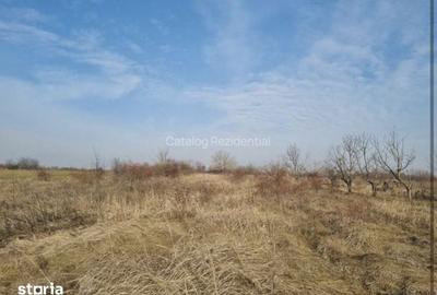 Teren de 2500 mp, în Adunații-Copăceni