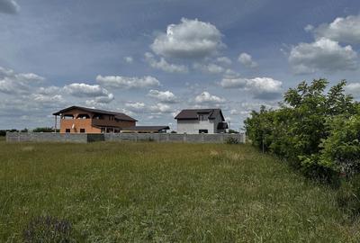 Teren de 516 mp, în Torontalului