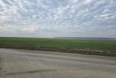 Teren Construcții de 16000 mp, în Afumați - 2