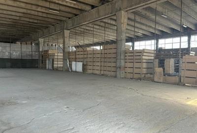 Spațiu industrial, de 650 mp, în Industriilor - 3