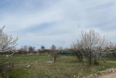 Teren de 937 mp, în Tamași - 6