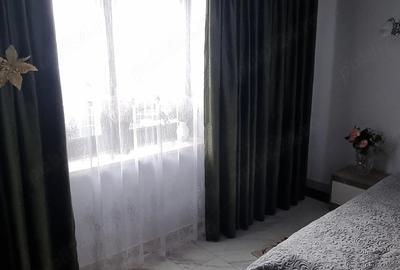 Casă cu 5 camere cu Teren 3000 Mp în Mitocu Dragomirnei - 1
