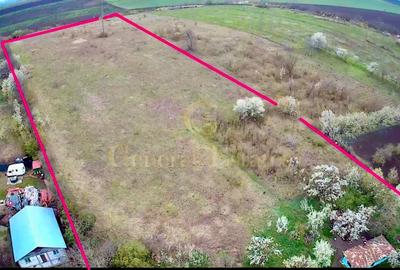 Teren Construcții intravilan de 20000 mp, în Holboca - 4